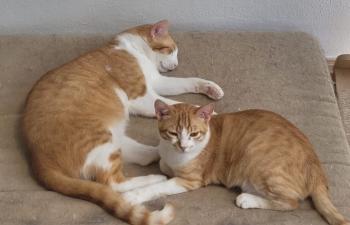 Solaris Bild von Solaris