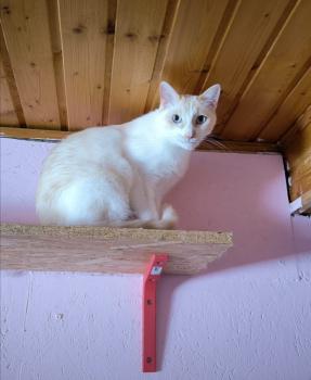 Bild von Snowi