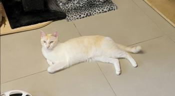 Bild von Snowi