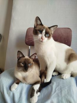 Morgana Bild von Morgana