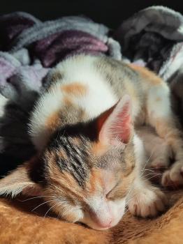 Esmeralda Bild von Esmeralda