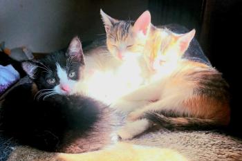 Esmeralda Bild von Esmeralda