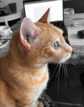 Terry Bild von Terry