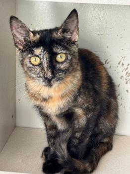 Saioa Bild von Saioa