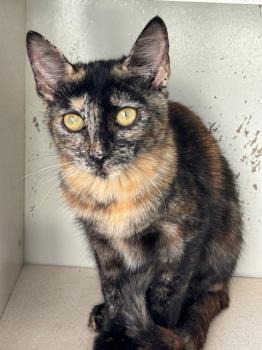 Saioa Bild von Saioa