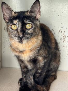 Saioa Bild von Saioa