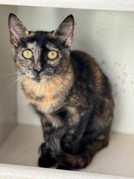 Saioa Bild von Saioa