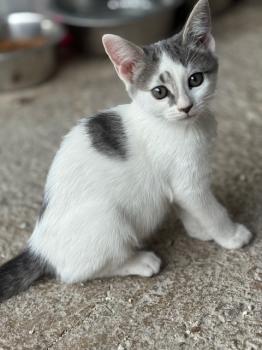 Ivana Bild von Ivana