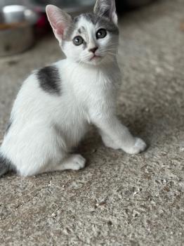 Ivana Bild von Ivana