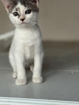 Ivana Bild von Ivana