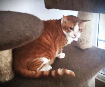 Isamu Bild von Isamu