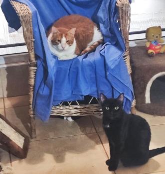 Isamu Bild von Isamu