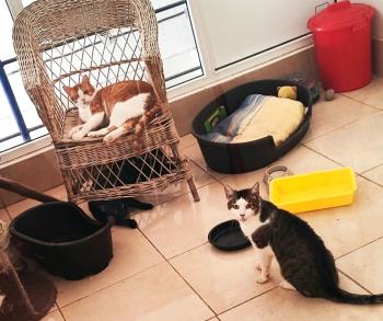 Isamu Bild von Isamu