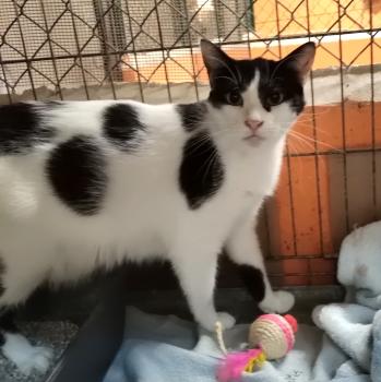 Excel Bild von Excel