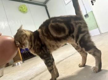 Ibera Bild von Ibera