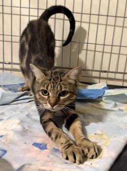 Ibera Bild von Ibera