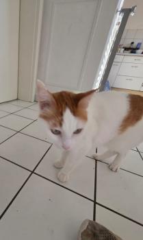 Teo Bild von Teo