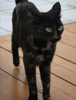 Mimi Bild von Mimi