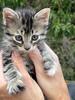 Denise Bild von Denise