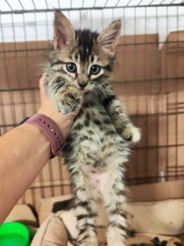 Denise Bild von Denise