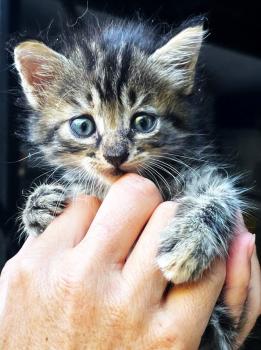 Denise Bild von Denise