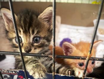 Denise Bild von Denise