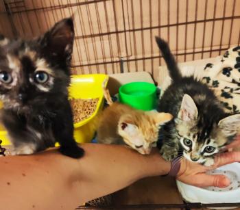 Denise Bild von Denise