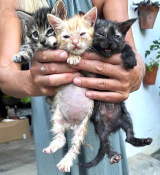 Denise Bild von Denise