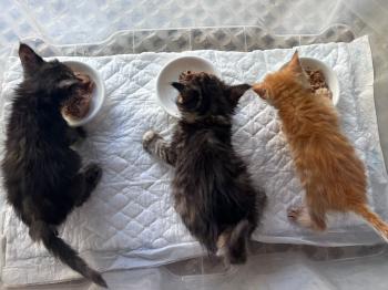 Denise Bild von Denise