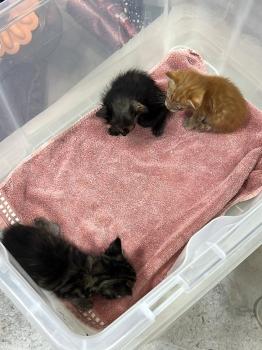 Denise Bild von Denise