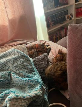 Juliette Bild von Juliette