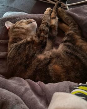 Juliette Bild von Juliette