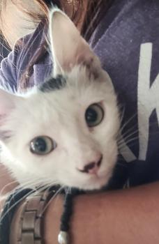 Punky Bild von Punky