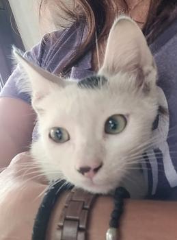 Punky Bild von Punky