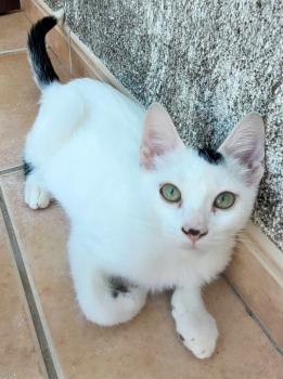 Punky Bild von Punky