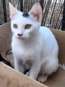 Punky Bild von Punky