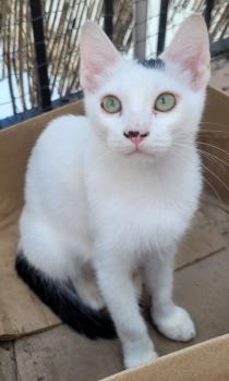 Punky Bild von Punky