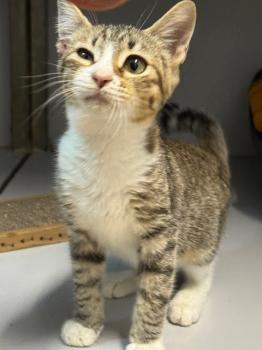 Eddie Bild von Eddie