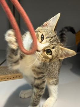 Eddie Bild von Eddie