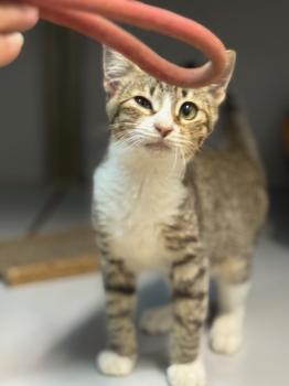 Eddie Bild von Eddie