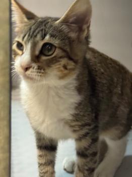 Eddie Bild von Eddie