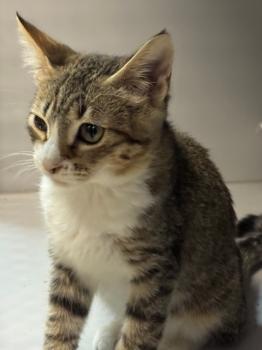 Eddie Bild von Eddie