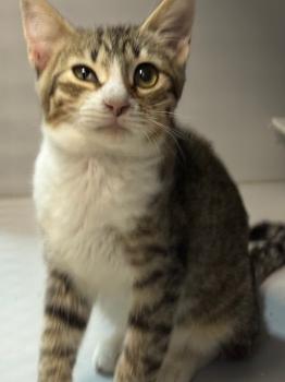 Eddie Bild von Eddie