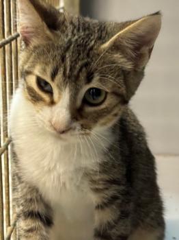 Eddie Bild von Eddie