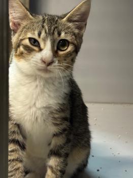 Eddie Bild von Eddie