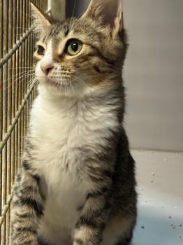 Eddie Bild von Eddie