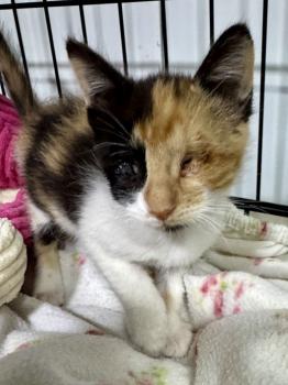 Marie Bild von Marie