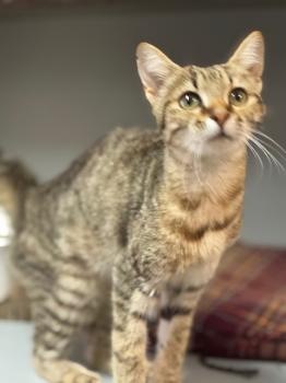 Actana Bild von Actana