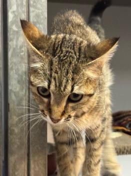 Actana Bild von Actana