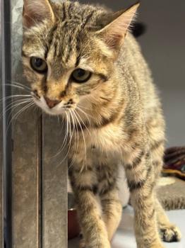 Actana Bild von Actana